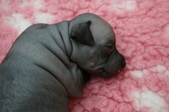 Enlarge photo 6
