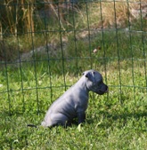 Enlarge photo 12
