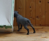 Enlarge photo 15