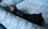Enlarge photo 3
