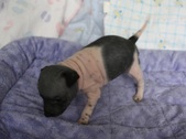 Enlarge photo 9