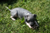 Enlarge photo 15
