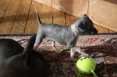 Enlarge photo 22