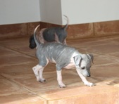 Enlarge photo 23