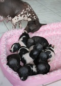 Enlarge photo 12