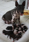 Enlarge photo 12