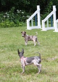 Enlarge photo 13