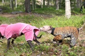 Enlarge photo 20