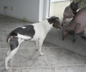 Enlarge photo 24