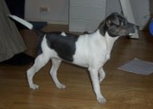 Enlarge photo 16
