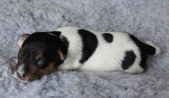 Enlarge photo 3