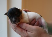 Enlarge photo 5