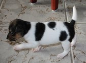 Enlarge photo 8