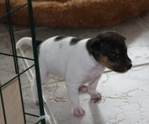 Enlarge photo 11