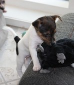 Enlarge photo 17