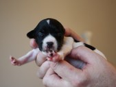 Enlarge photo 5