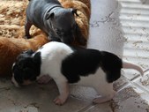 Enlarge photo 10
