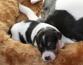Enlarge photo 12