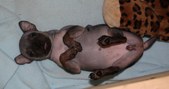 Enlarge photo 12