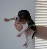 Enlarge photo 12