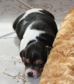 Enlarge photo 14