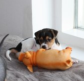 Enlarge photo 22