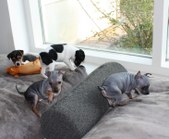 Enlarge photo 19
