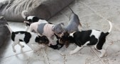 Enlarge photo 19