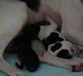 Enlarge photo 3