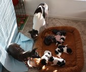 Enlarge photo 12
