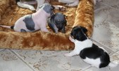Enlarge photo 14