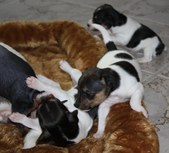 Enlarge photo 19