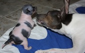 Enlarge photo 2