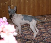 Enlarge photo 21