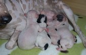 Enlarge photo 3