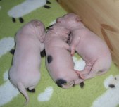 Enlarge photo 14