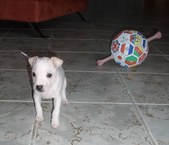 Enlarge photo 20