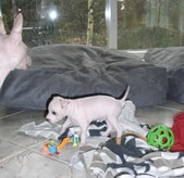 Enlarge photo 13