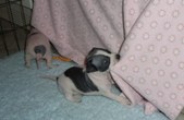 Enlarge photo 12