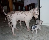 Enlarge photo 16