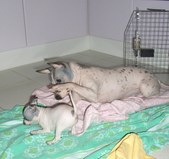 Enlarge photo 19