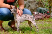 Enlarge photo 21
