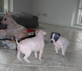 Enlarge photo 18