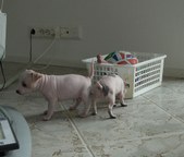 Enlarge photo 20