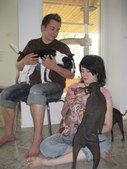 Enlarge photo 24