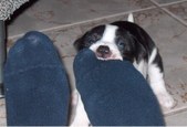 Enlarge photo 13