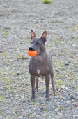 Enlarge photo 16