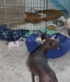 Enlarge photo 13