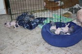 Enlarge photo 14