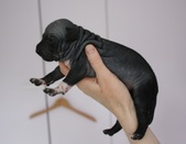 Enlarge photo 7